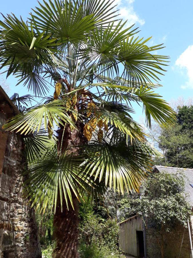 Le Vieux Moulin Bed & Breakfast Goudelin Exterior photo